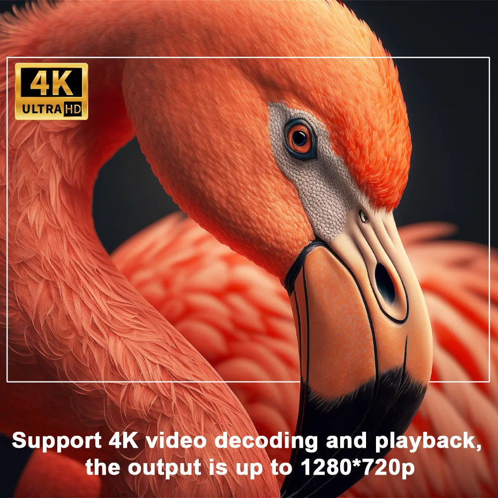 DomácíVize | Ultra HD kino projektor